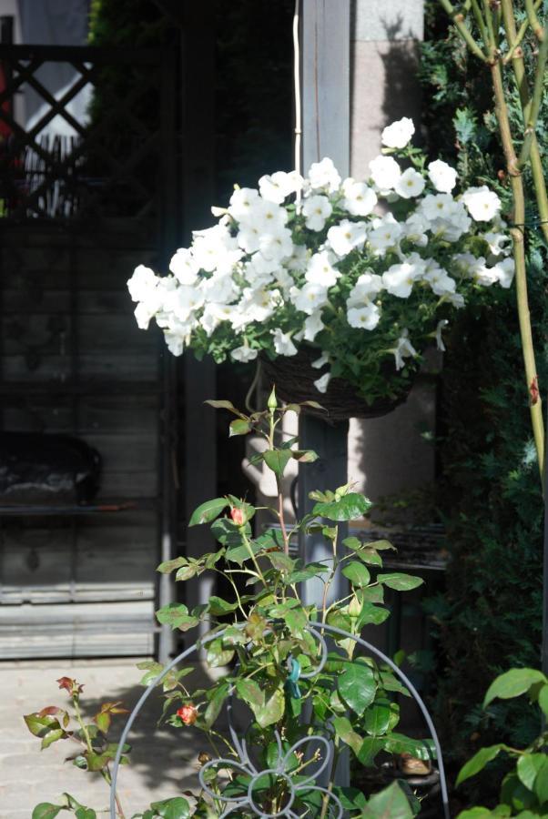 Silver Rowy Rowy  Exterior photo